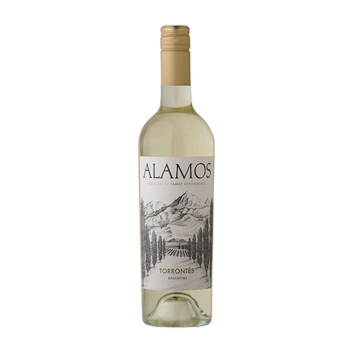 Alamos Torrontés - DiVino.com.au