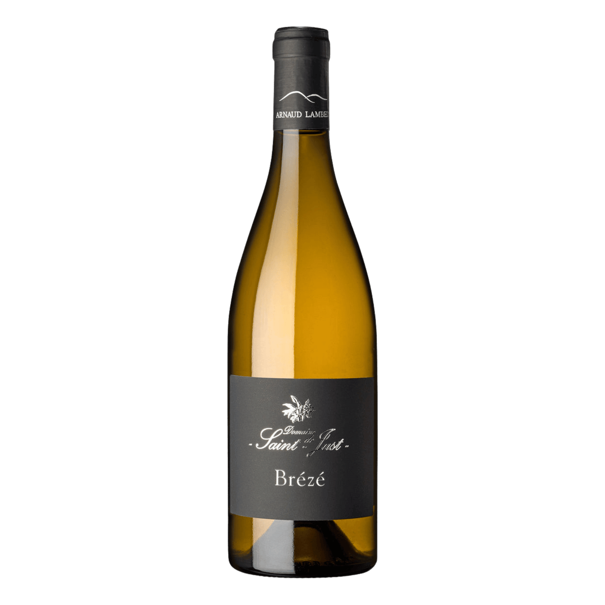 Arnaud Lambert Saumur Brézé Bourguenne - DiVino.com.au