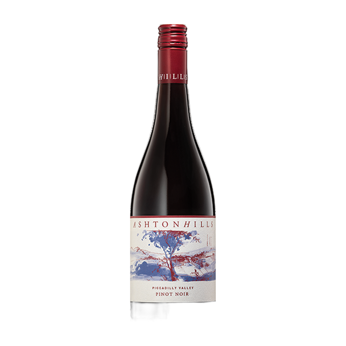 Ashton Hills Piccadilly Valley Pinot Noir - DiVino.com.au