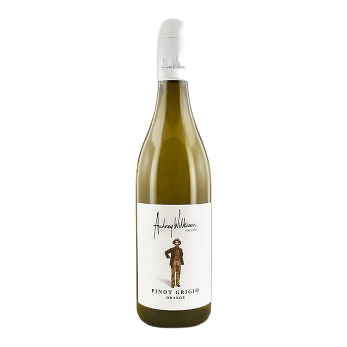 Audrey Wilkinson Pinot Grigio - DiVino.com.au