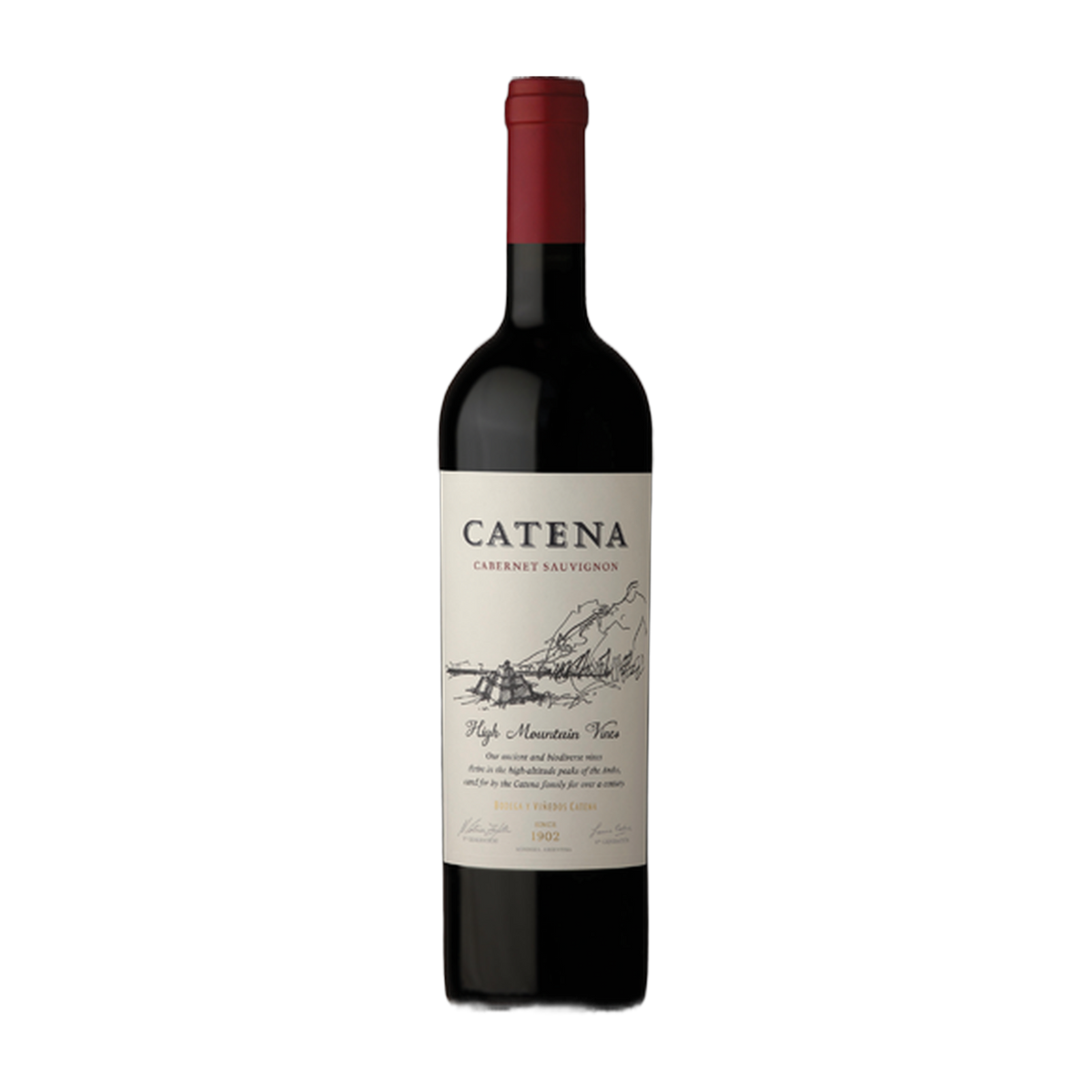 Catena High Mountain Vines Cabernet Sauvignon - DiVino.com.au