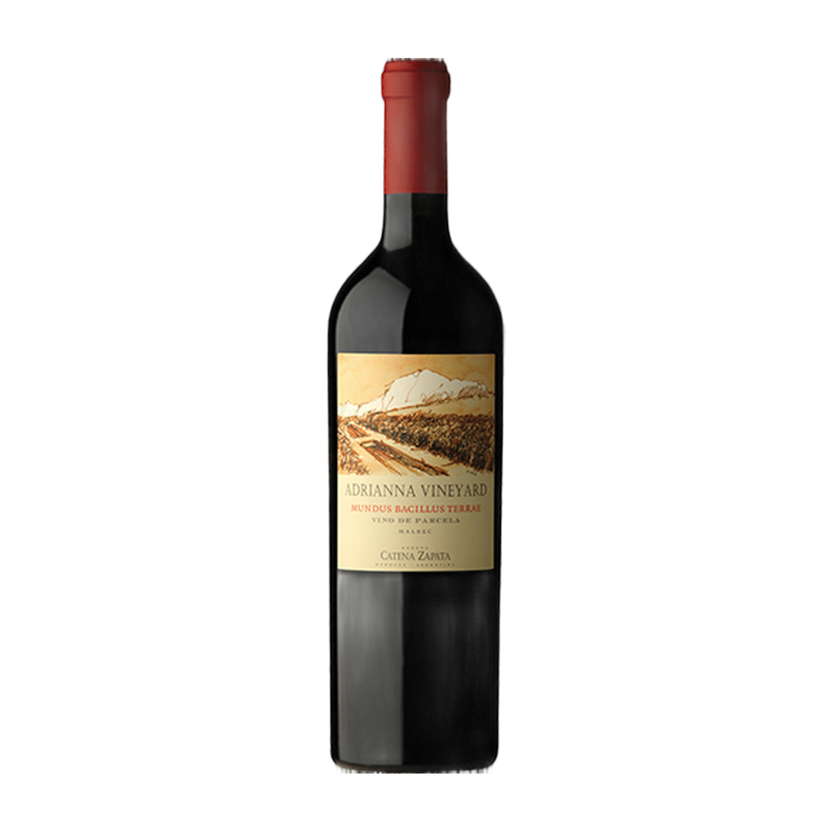 Catena Zapata Adrianna Vineyard Mundus Bacillus Terrae Malbec - DiVino.com.au
