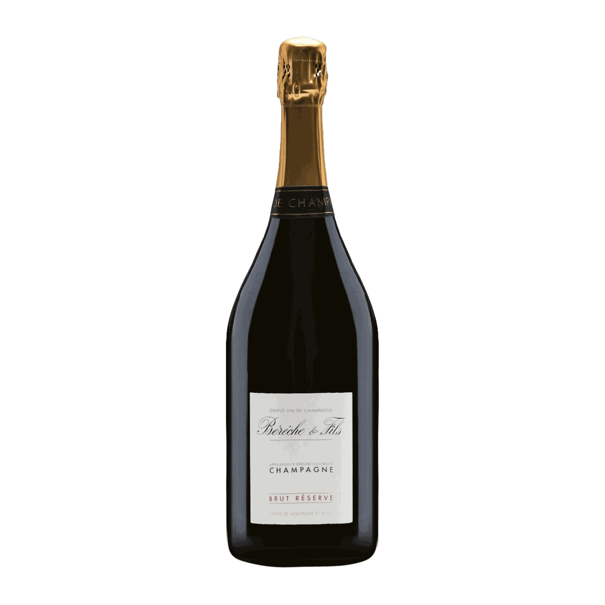 Champagne Bérêche et Fils Brut Réserve Vieilles Vignes Non Filtrée 1.5L MAGNUM - DiVino.com.au