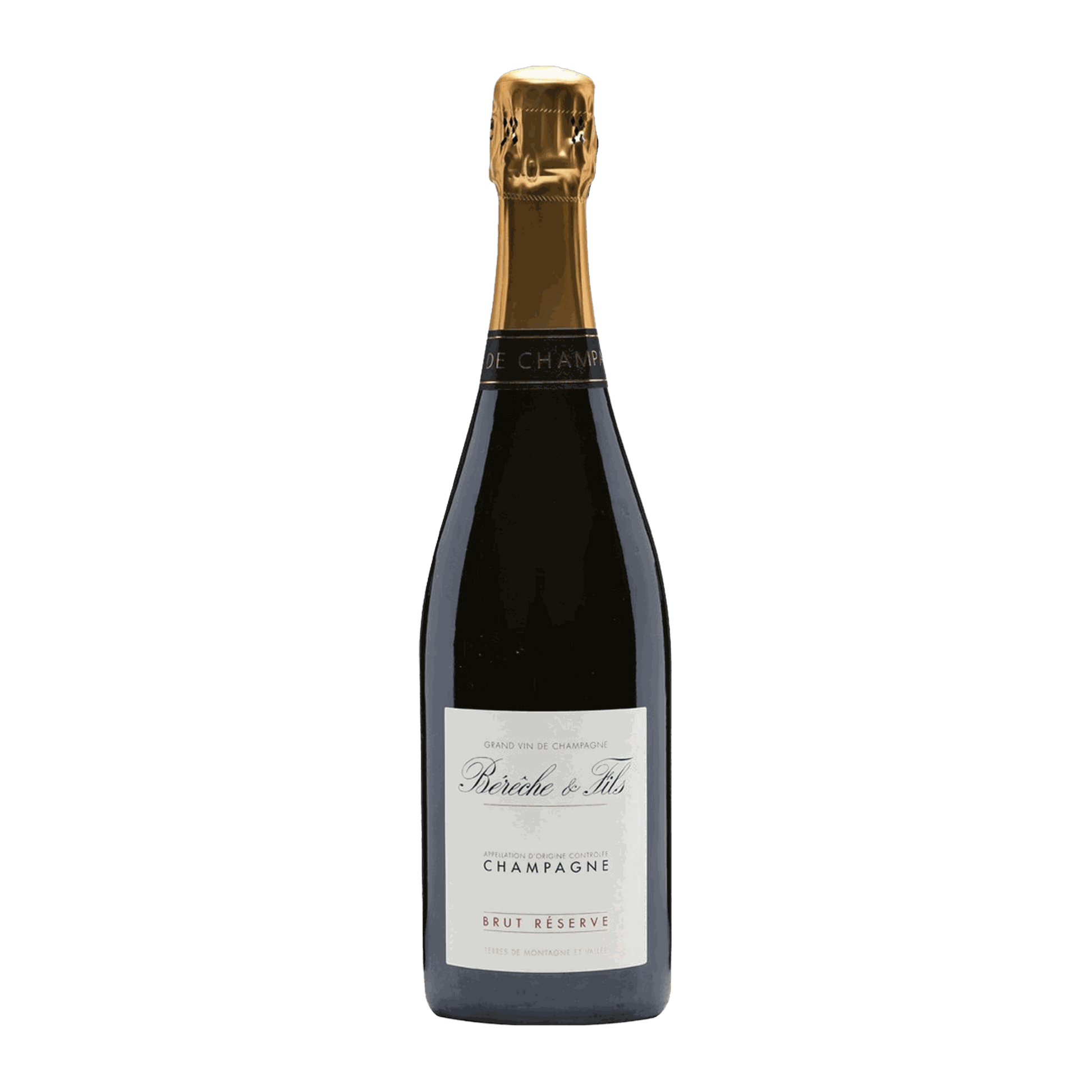 Champagne Bérêche et Fils Brut Réserve Vieilles Vignes Non Filtrée 1.5L MAGNUM - DiVino.com.au