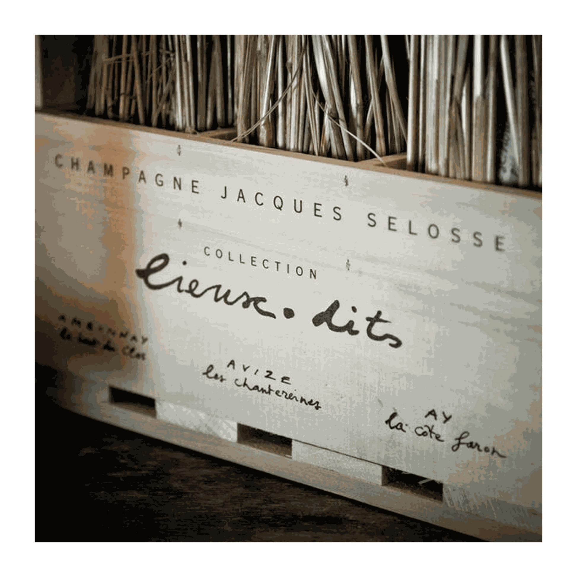 Champagne Jacques Selosse Collection Lieux-Dits - DiVino.com.au