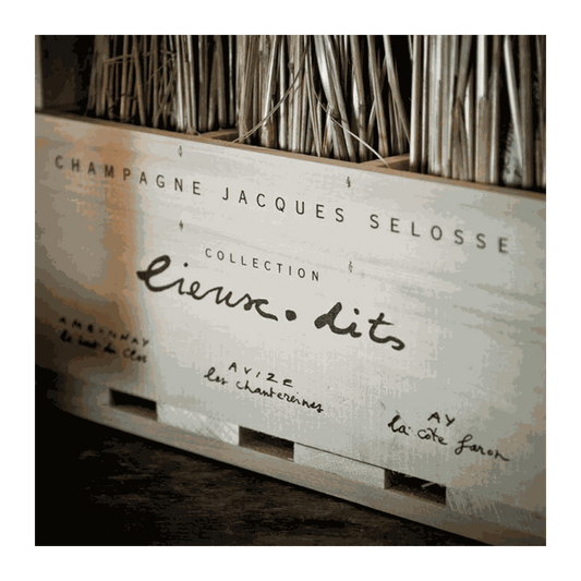 Champagne Jacques Selosse Collection Lieux-Dits - DiVino.com.au