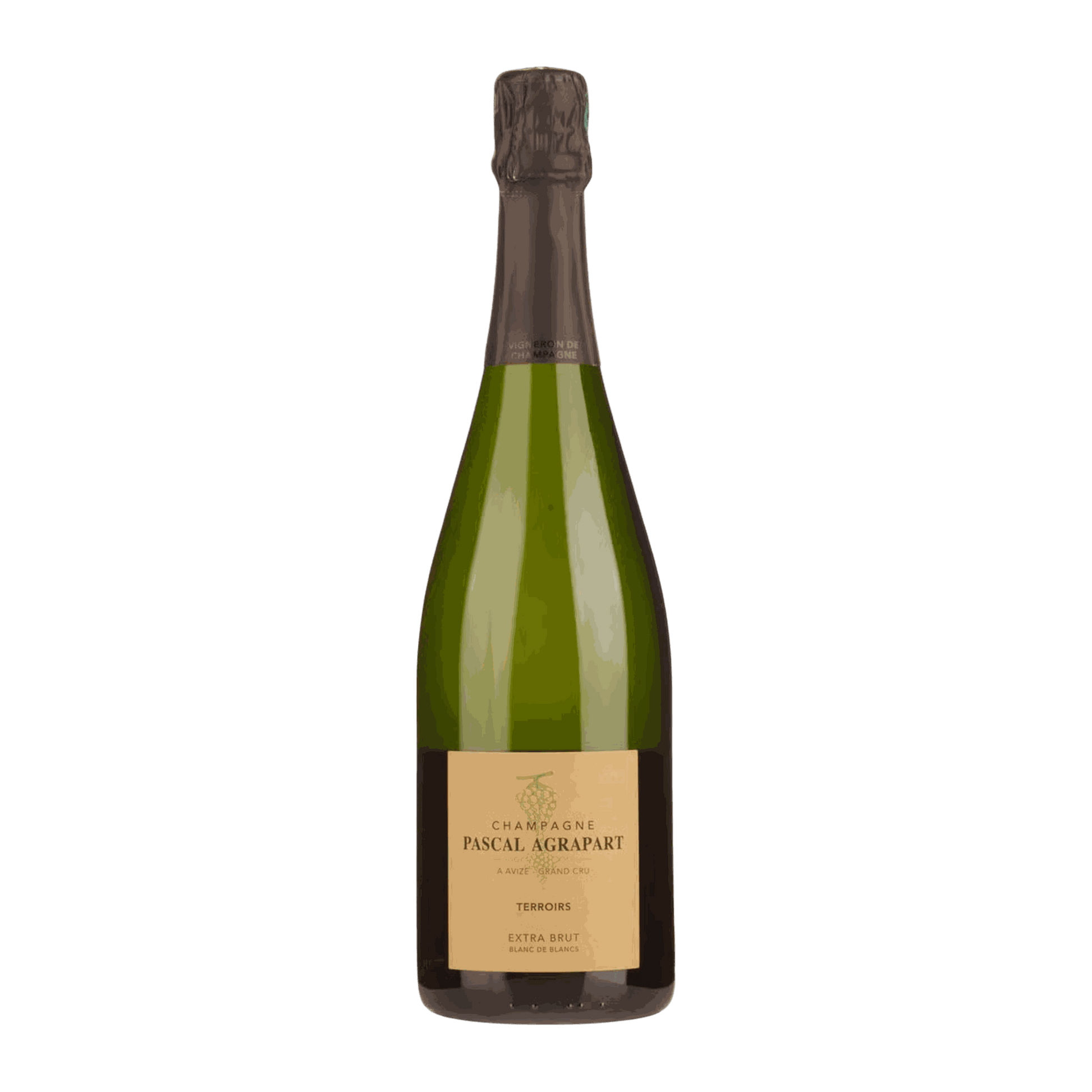 Champagne Pascal Agrapart Grand Cru Terroirs Blanc de Blancs - DiVino.com.au