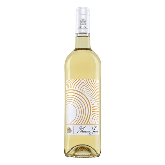 Chateau Musar Jeune White 2021 - DiVino.com.au