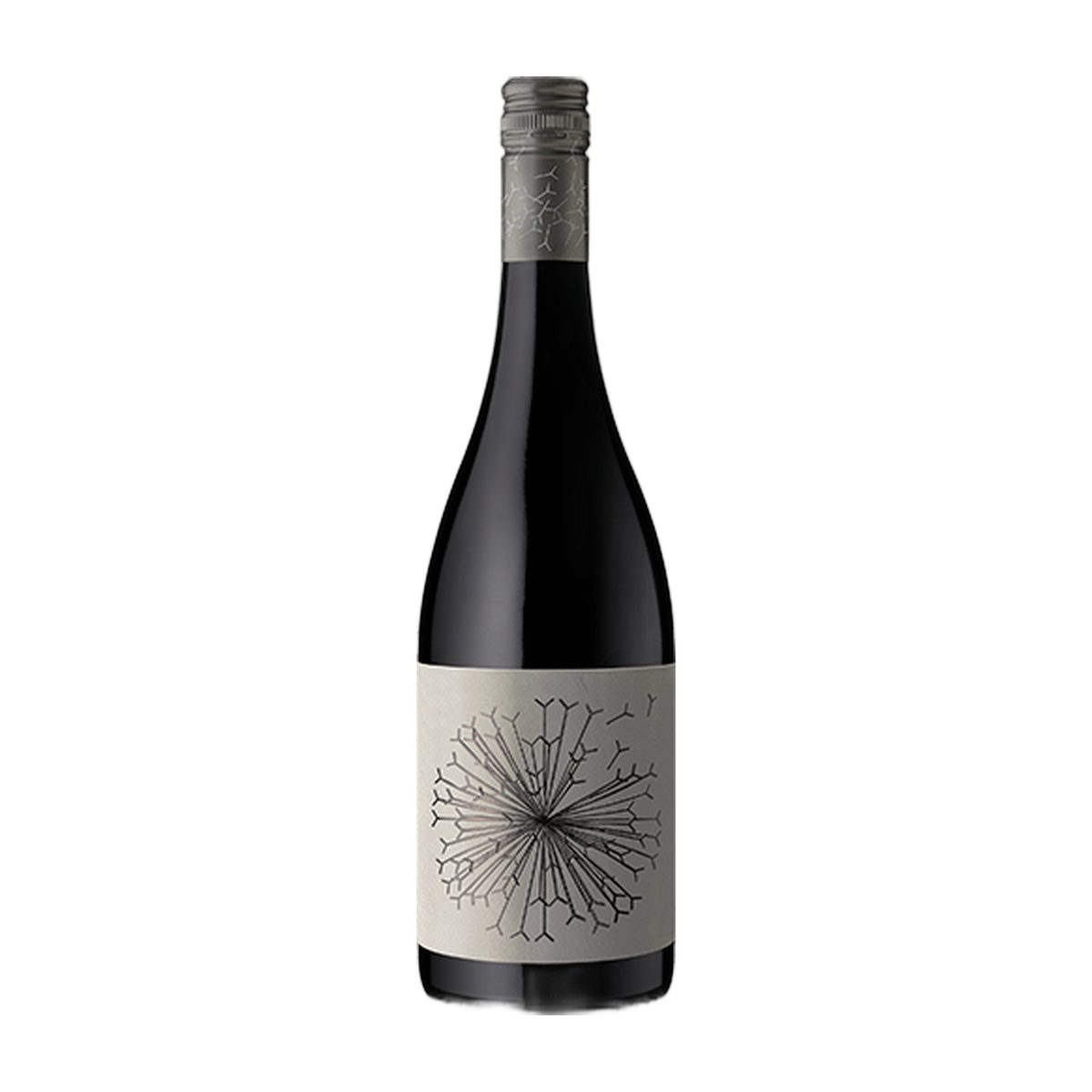 Dandelion Vineyards Lion's Tooth of McLaren Vale Shiraz Riesling - DiVino.com.au