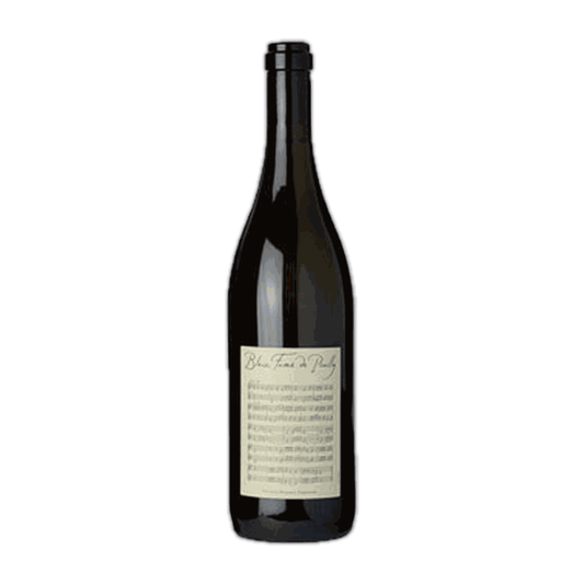 Didier Dagueneau Blanc Fumé de Pouilly Cellar Release - DiVino.com.au