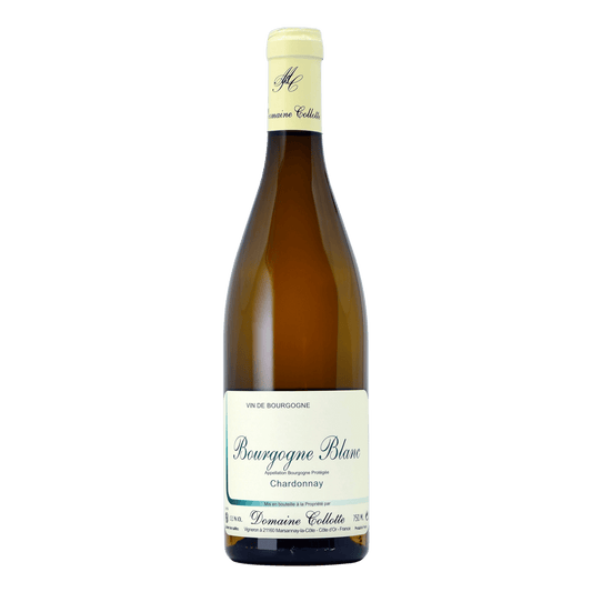 Domaine Collotte Bourgogne Blanc - DiVino.com.au