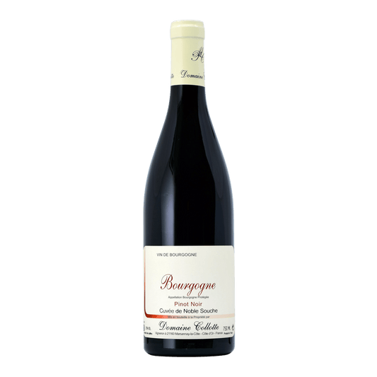 Domaine Collotte Bourgogne rouge cuvée de noble souche - DiVino.com.au