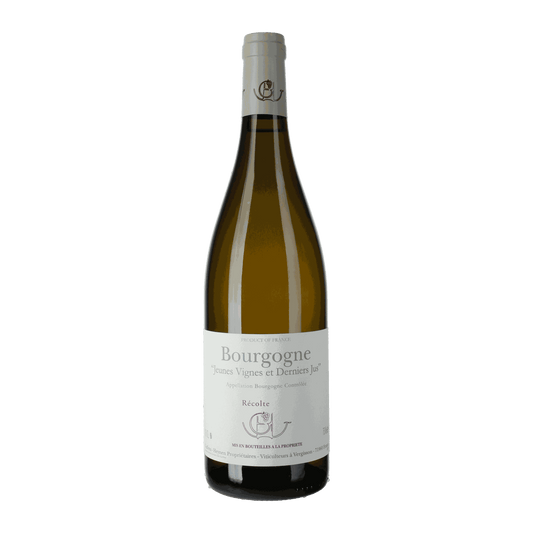 Domaine Guffens-Heynen Bourgogne Jeunes Vignes et Derniers Jus - DiVino.com.au