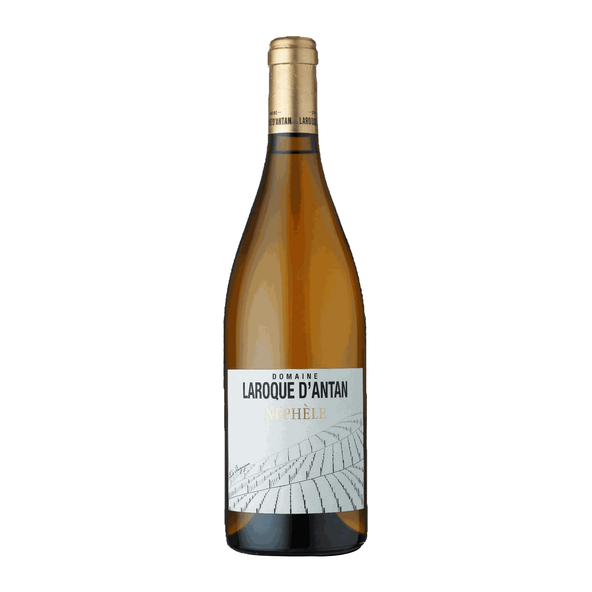 Domaine Laroque D'Antan IGP Côtes du Lot Néphèle Blanc - DiVino.com.au