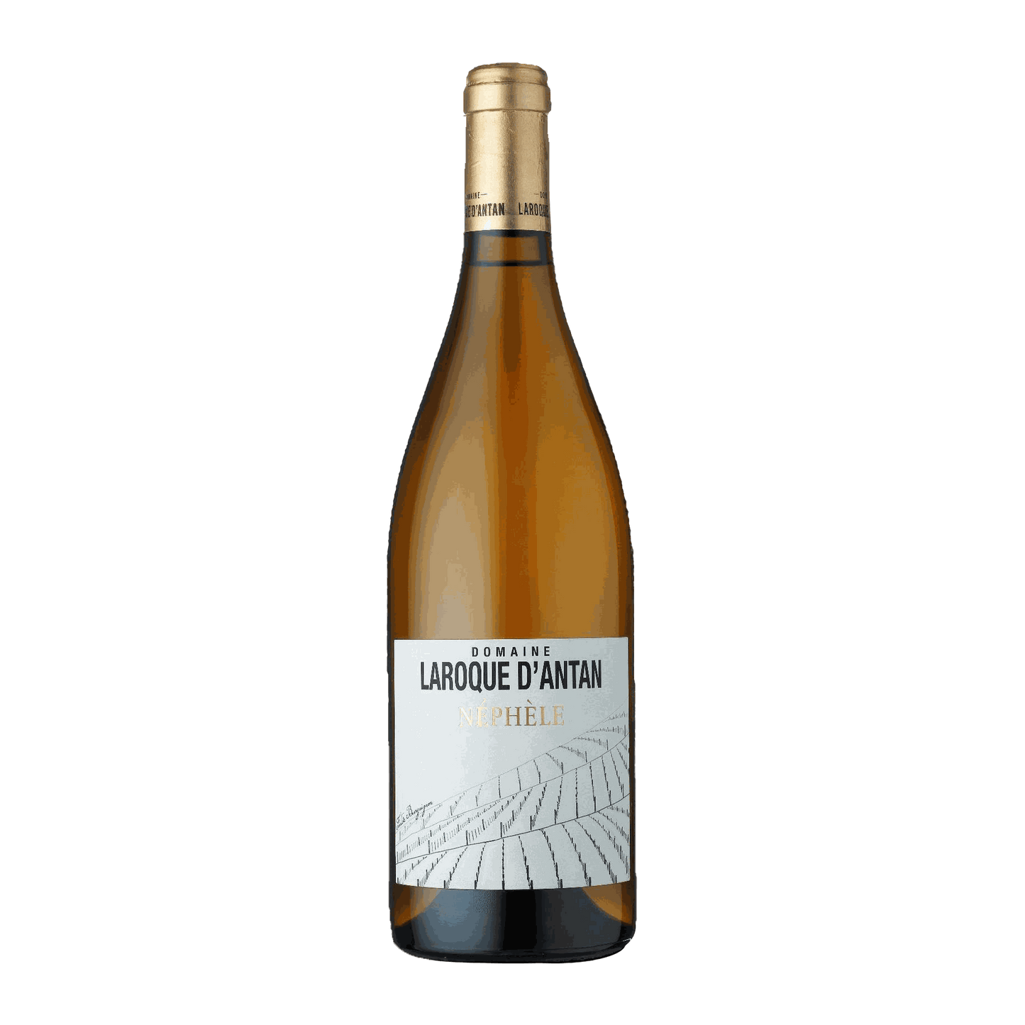 Domaine Laroque D'Antan IGP Côtes du Lot Néphèle Blanc - DiVino.com.au