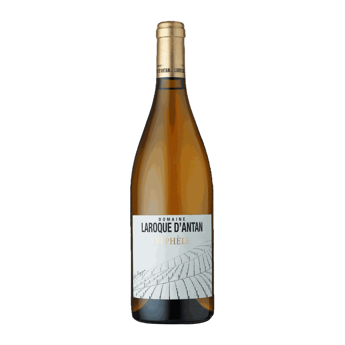 Domaine Laroque D'Antan IGP Côtes du Lot Néphèle Blanc - DiVino.com.au