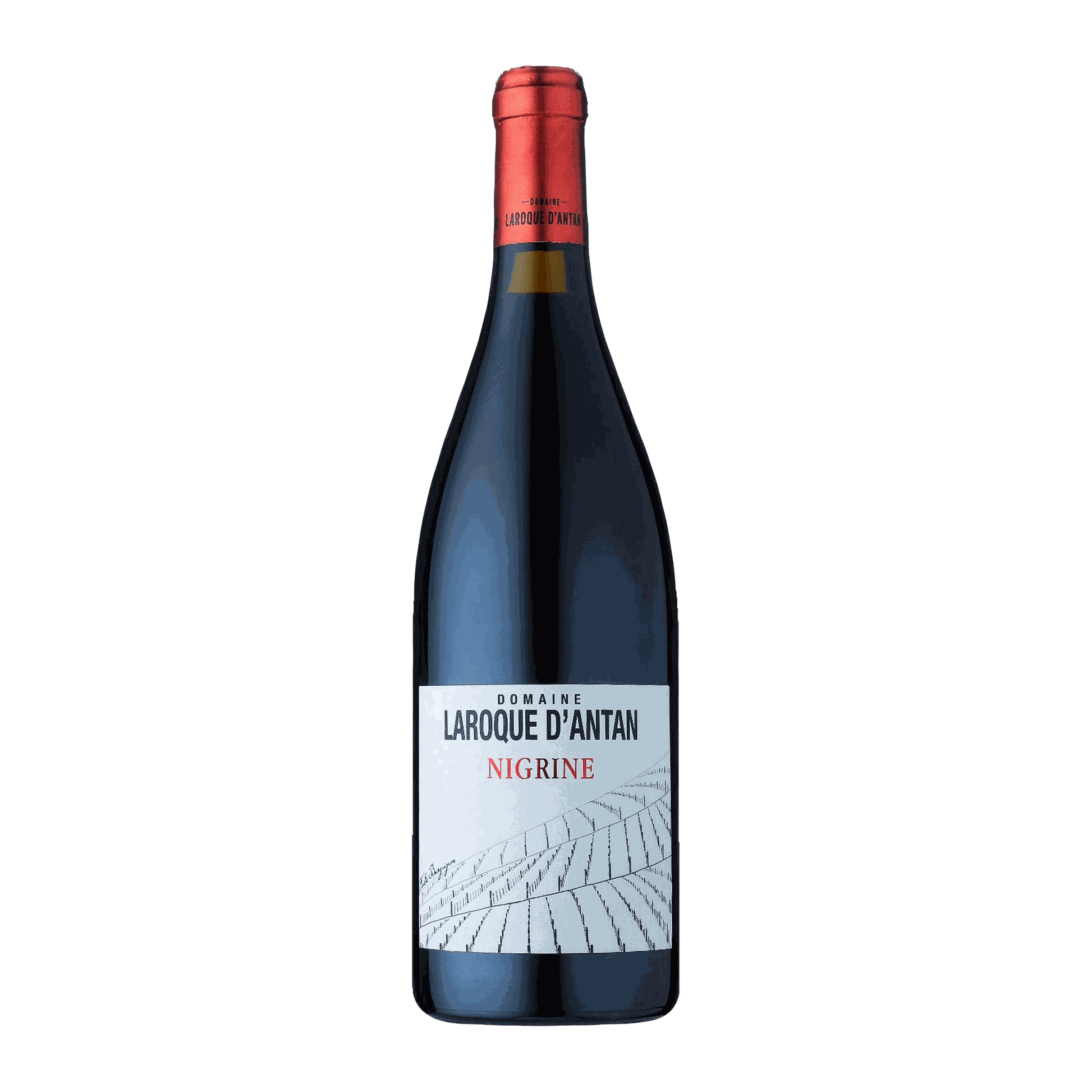 Domaine Laroque D'Antan IGP Côtes du Lot Nigrine Rouge - DiVino.com.au