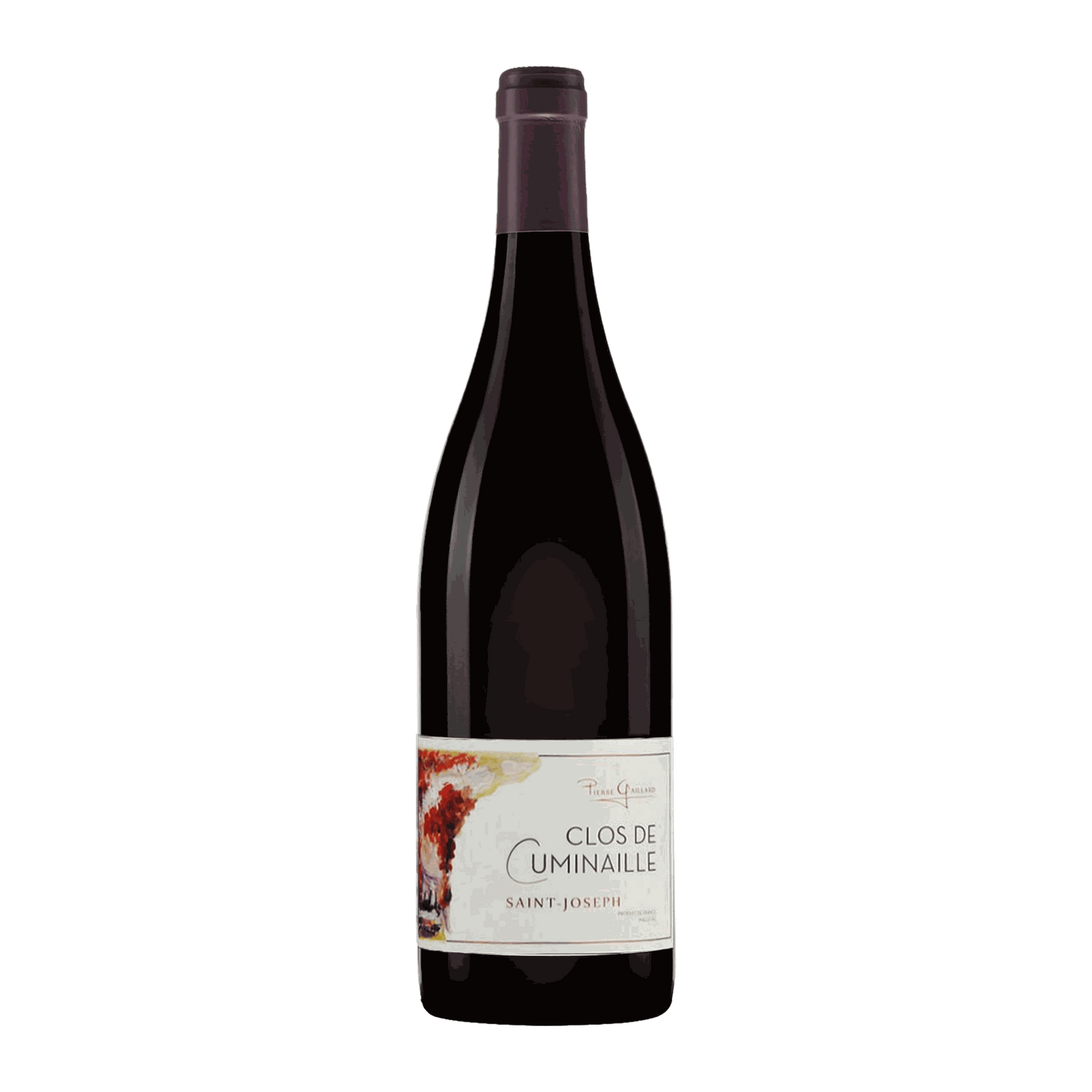 Domaine Pierre Gaillard Saint-Joseph Clos de Cuminaille 1.5L MAGNUM - DiVino.com.au