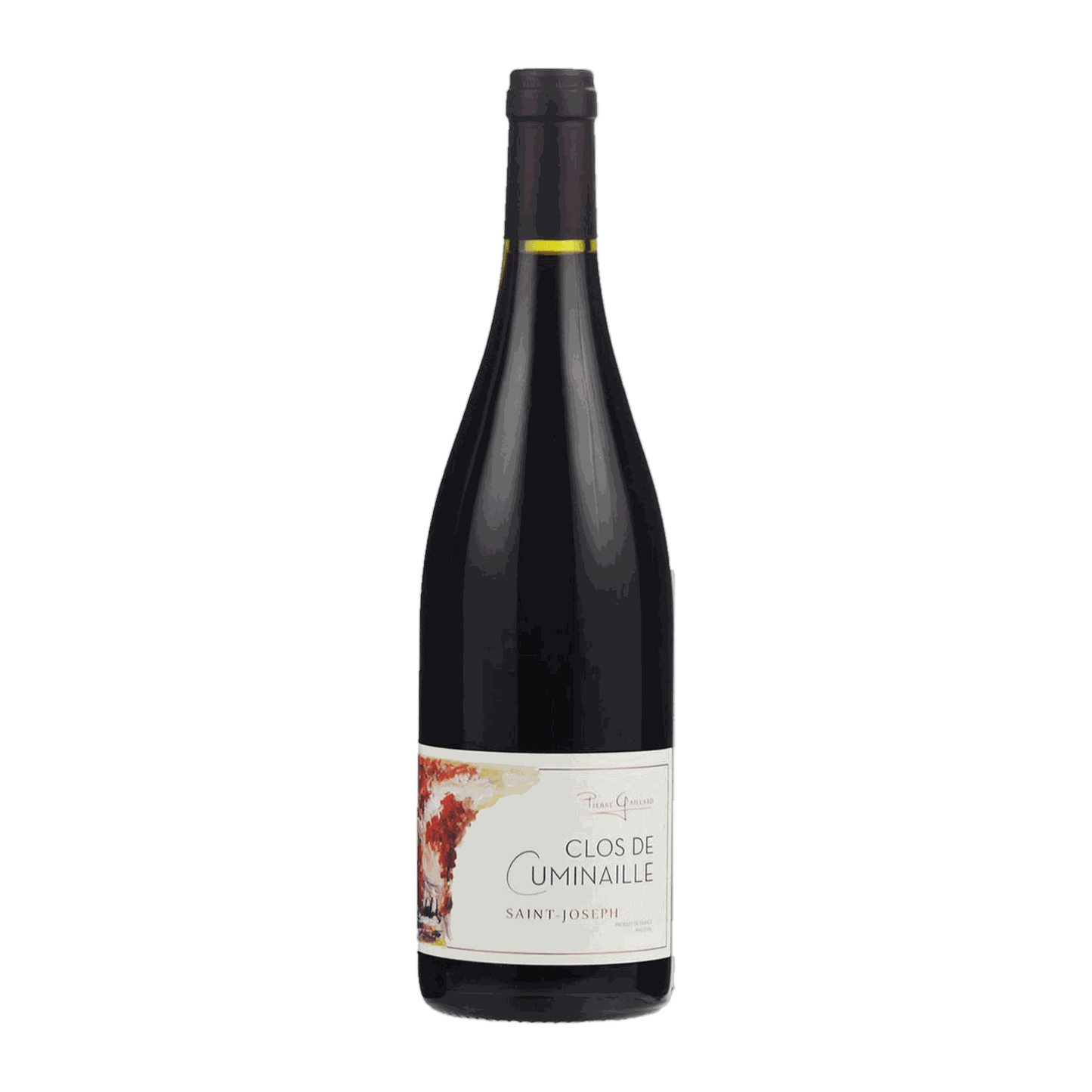 Domaine Pierre Gaillard Saint-Joseph Clos de Cuminaille - DiVino.com.au