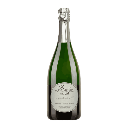 Domaine Plageoles Gaillac Mauzac Nature Sparkling 1.5L MAGNUM - DiVino.com.au