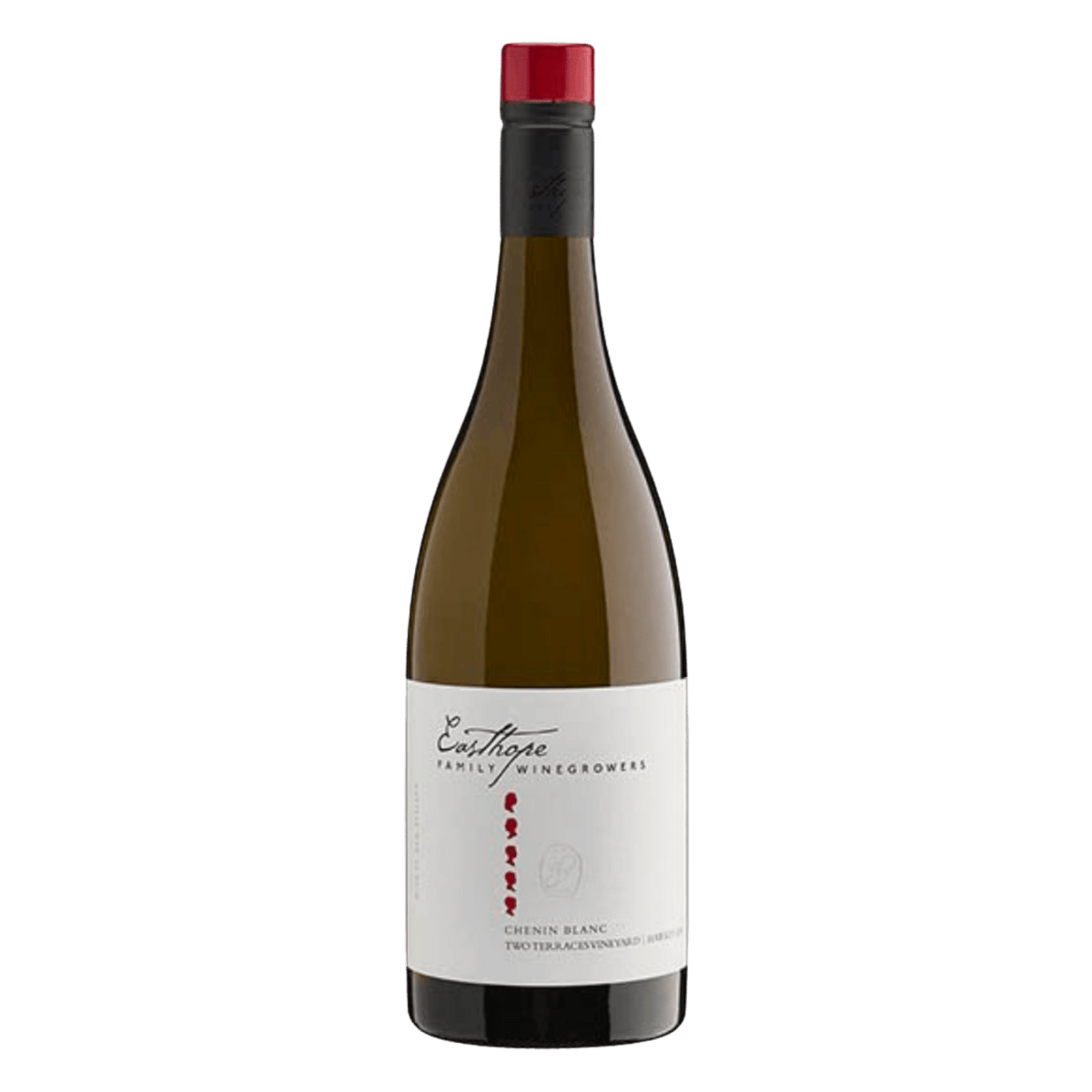 Easthope Family Winegrowers Two Terraces Vineyard Chenin Blanc - DiVino.com.au