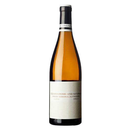 Els Vinyerons Vins Naturals Lluerna Blanc Xarel-lo Penedès Zero Sulphur - DiVino.com.au