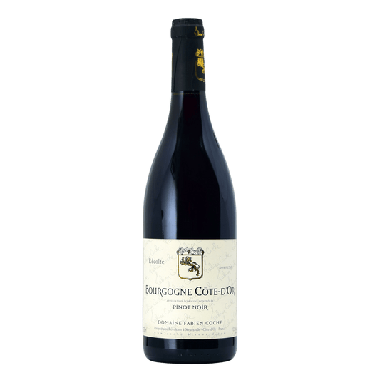 Fabien Coche Bourgogne Côte d'Or Pinot Noir - DiVino.com.au
