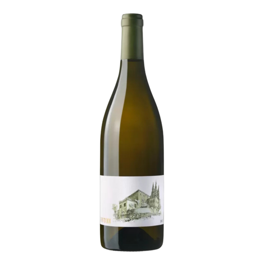 Fontodi Bianco Old Vine Trebbiano - DiVino.com.au