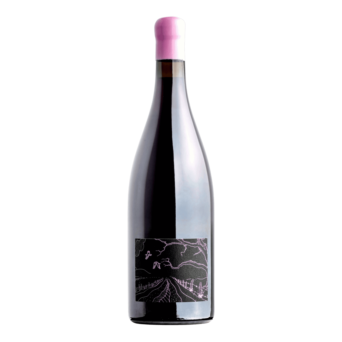 Ghost Rock Filles Pinot Noir - DiVino.com.au