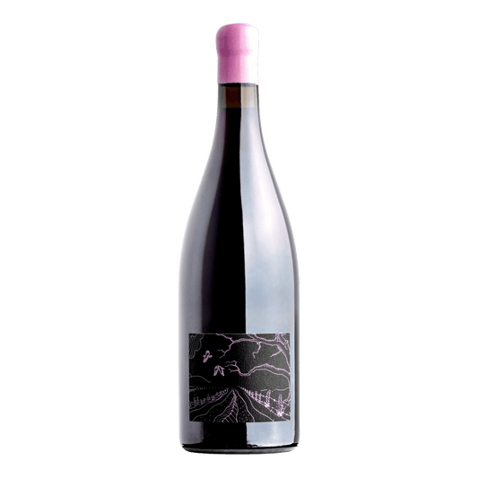 Ghost Rock Filles Pinot Noir - DiVino.com.au