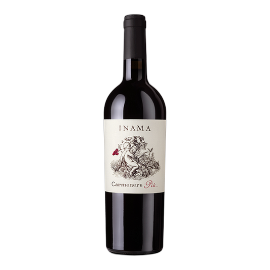 Inama Carmenere Più Veneto Rosso - DiVino.com.au