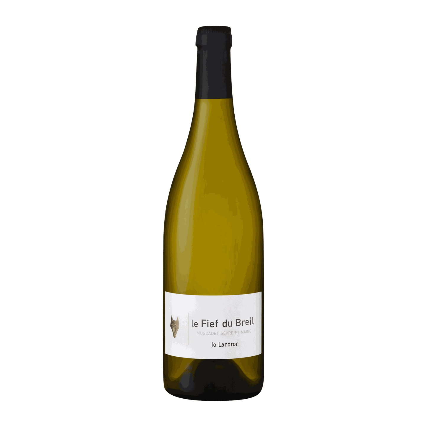 Jo Landron Muscadet Sèvre et Maine Le Fief du Breil - DiVino.com.au