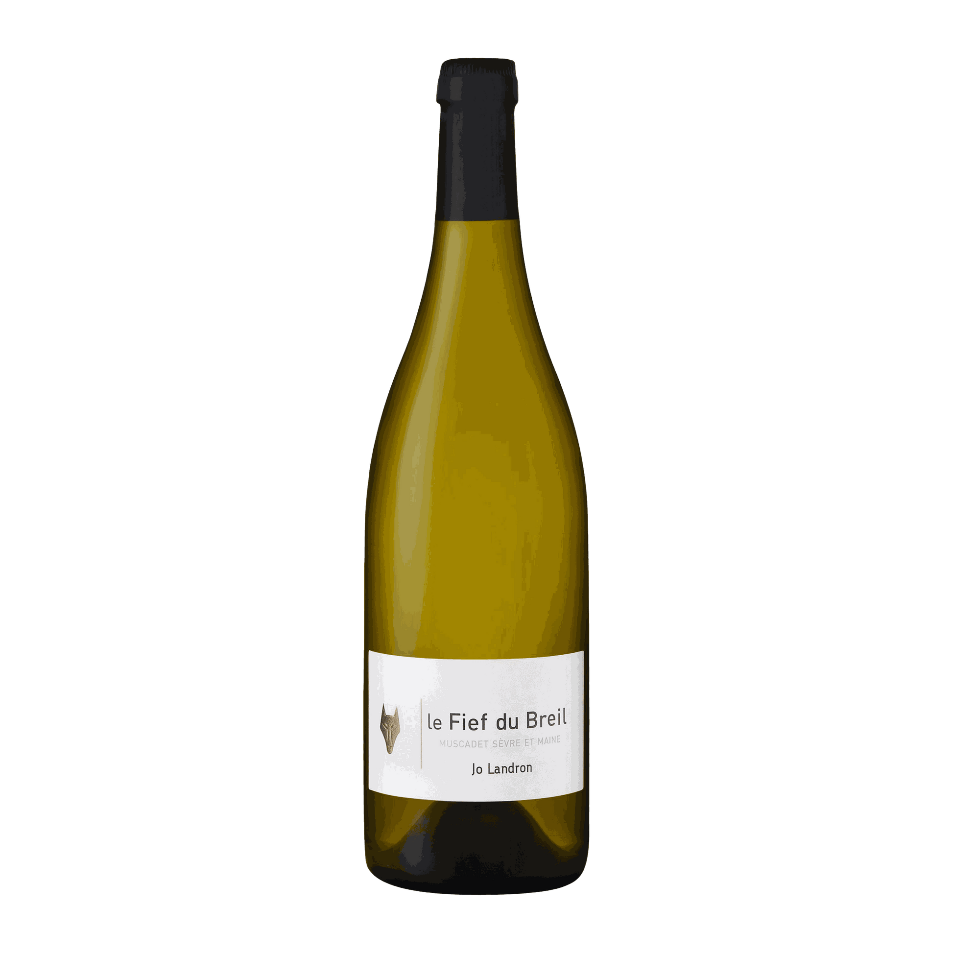 Jo Landron Muscadet Sèvre et Maine Le Fief du Breil - DiVino.com.au