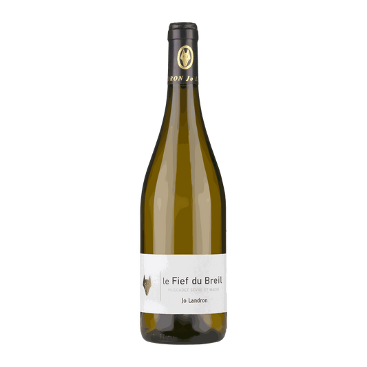 Jo Landron Muscadet Sèvre et Maine Le Fief du Breil - DiVino.com.au