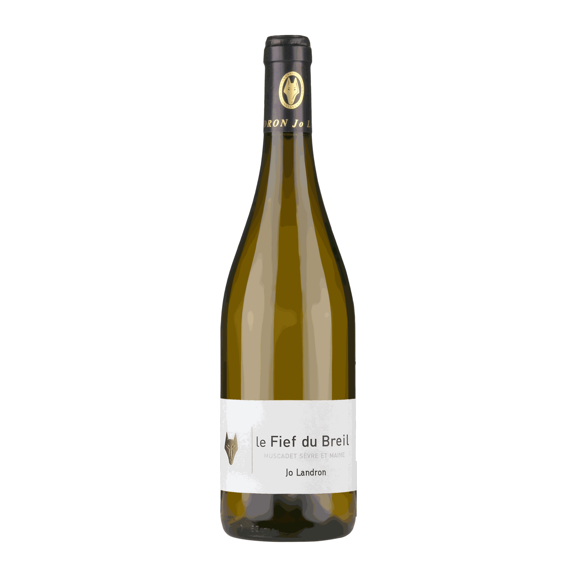 Jo Landron Muscadet Sèvre et Maine Le Fief du Breil - DiVino.com.au