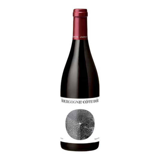 Louis Jadot Bourgogne Cote d'Or Rouge - DiVino.com.au