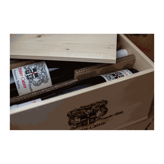 Müller-Catoir Bürgergarten Riesling 2016- 4.5L - DiVino.com.au