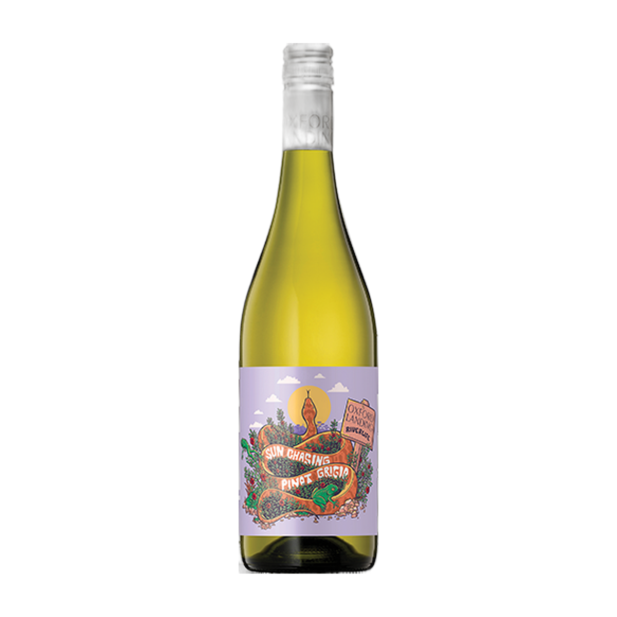 Oxford Landing Riverlife Sunchasing Pinot Grigio - DiVino.com.au