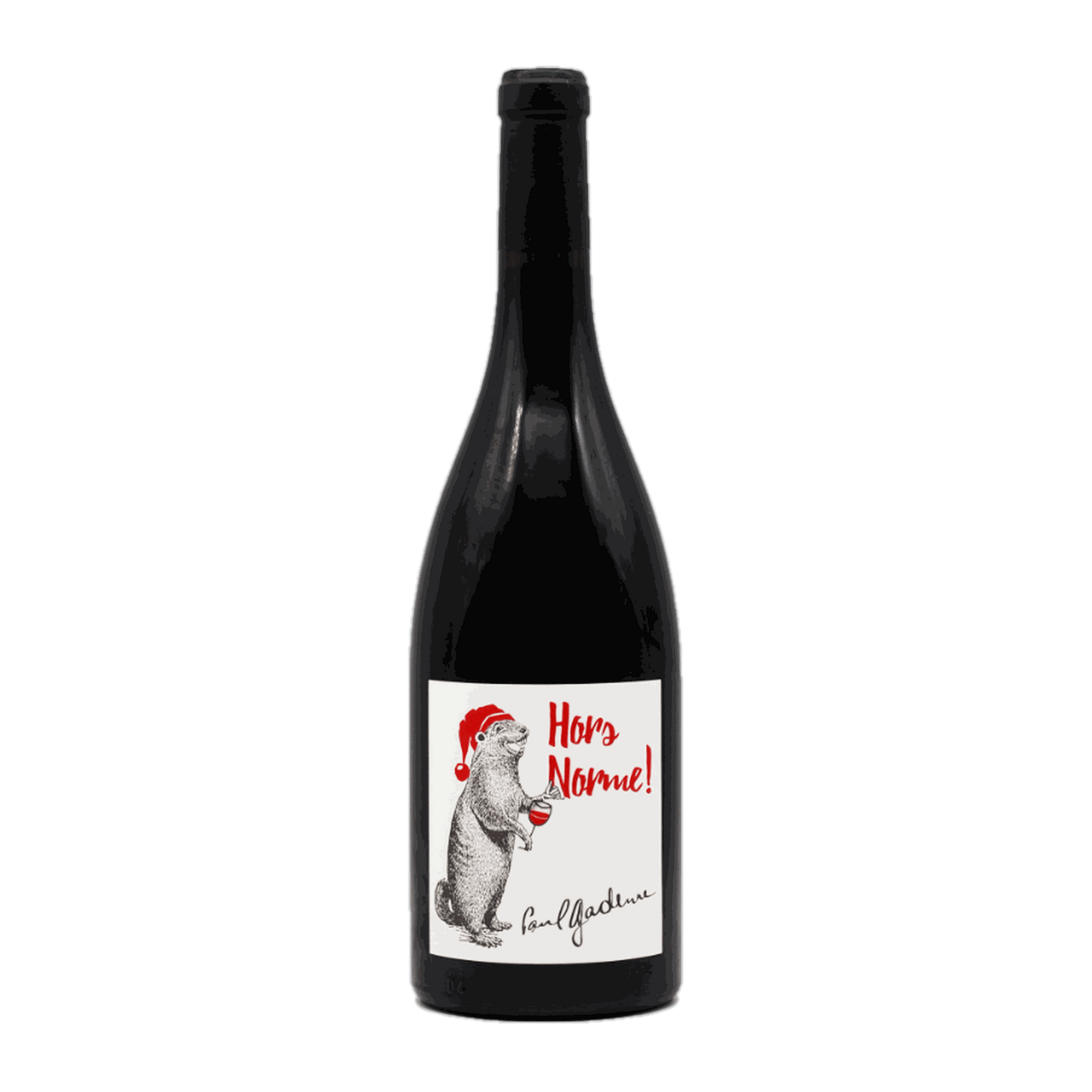 Paul Gadenne Hors Norme Rouge - DiVino.com.au