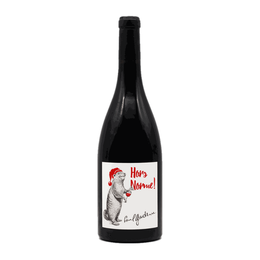 Paul Gadenne Hors Norme Rouge - DiVino.com.au
