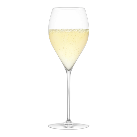 Plumm Everyday The Sparkling Glass 4 X 4 Pack - DiVino.com.au