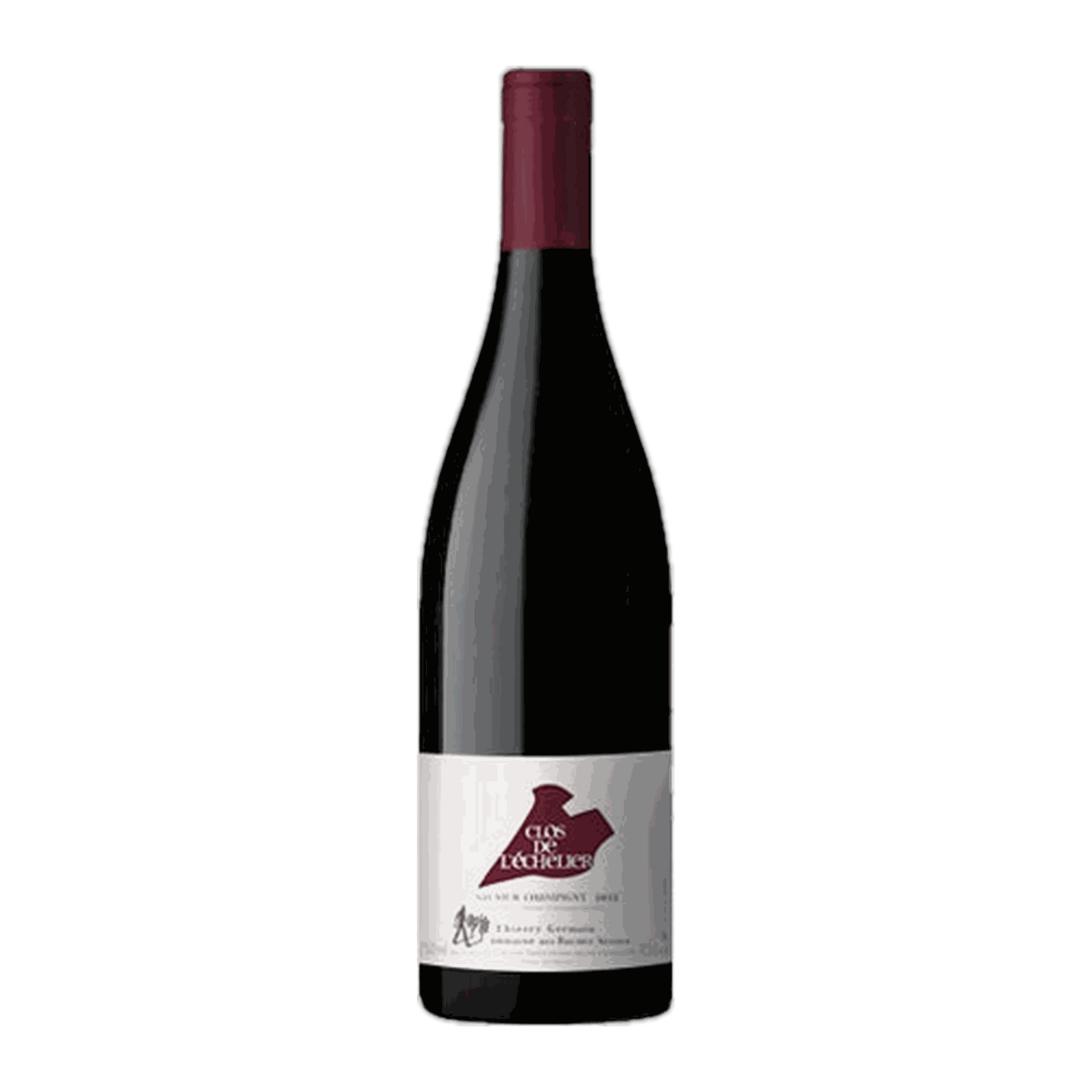 Roches Neuves Saumur-Champigny Clos de L'Échelier - DiVino.com.au