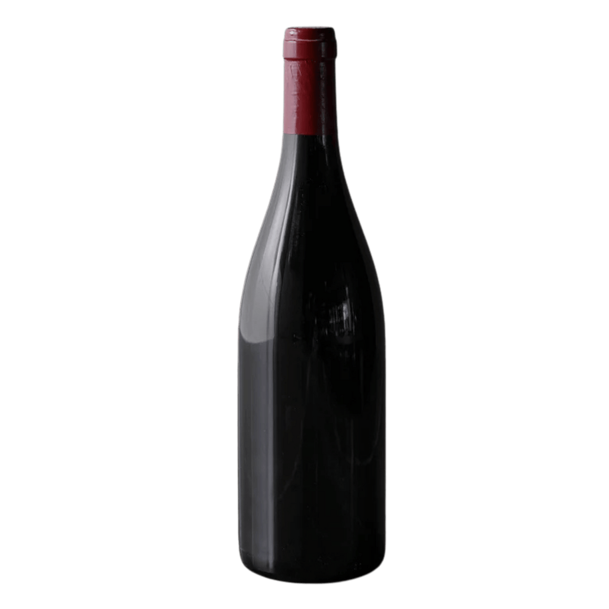 Sailor Seeks Horse Syrah Marengo - DiVino.com.au