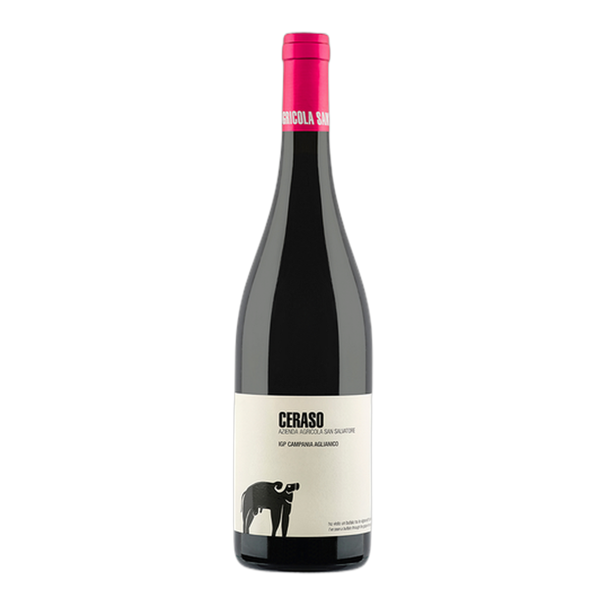 San Salvatore 19.88 Aglianico Ceraso - DiVino.com.au