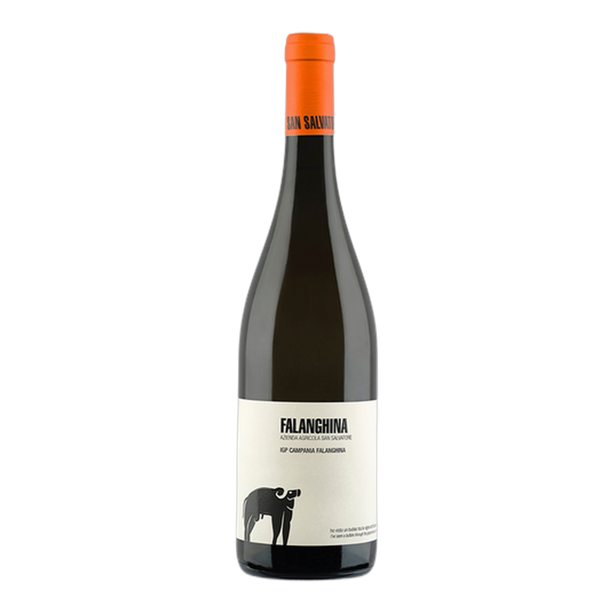 San Salvatore 19.88 Falanghina IGP - DiVino.com.au
