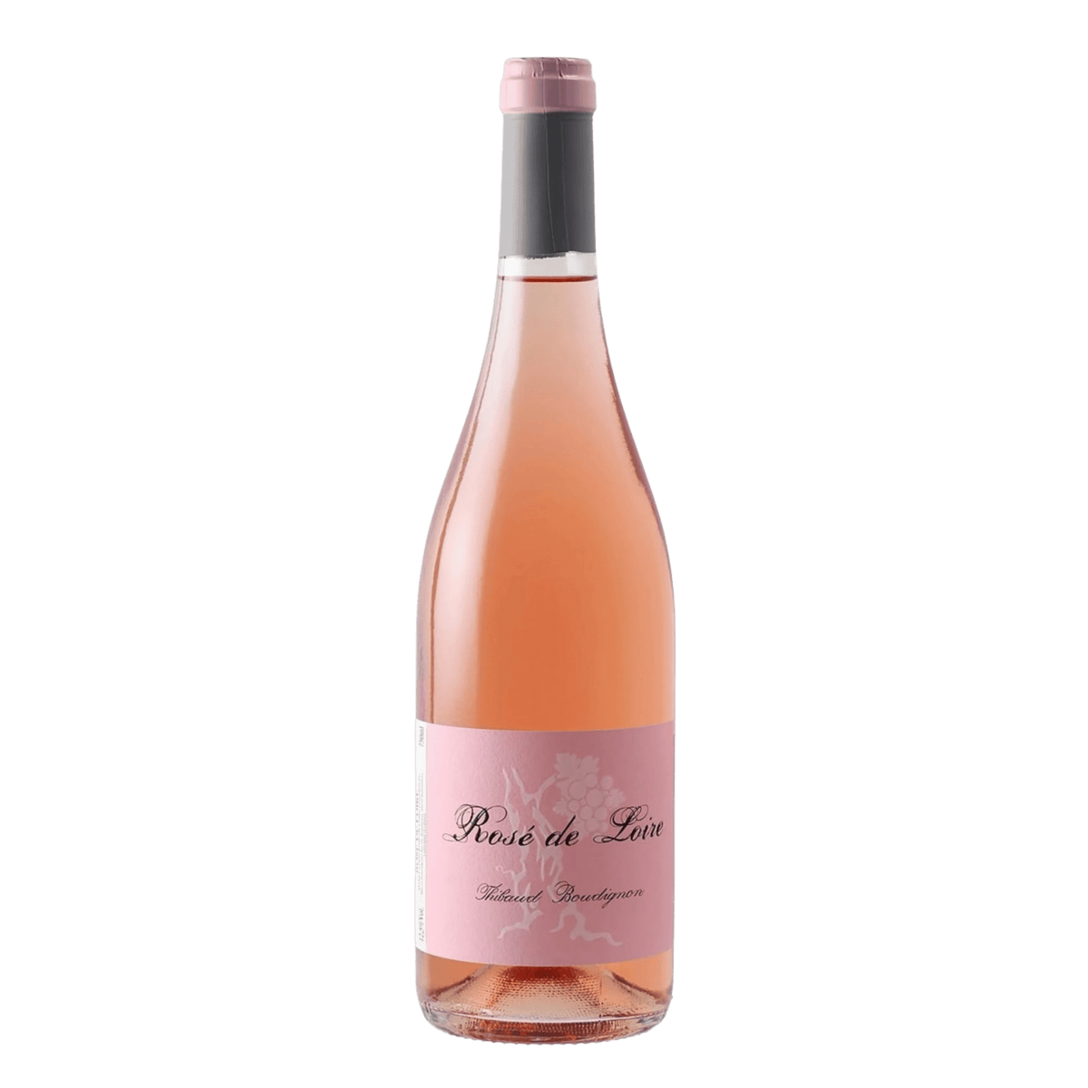 Thibaud Boudignon Rosé de Loire - DiVino.com.au