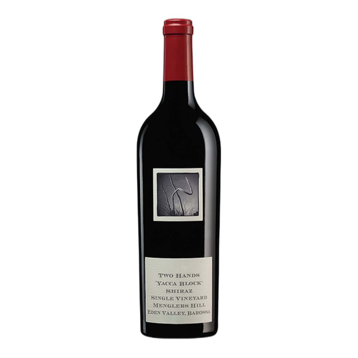 Two Hands Yacca Block Single Vineyard Shiraz - DiVino.com.au