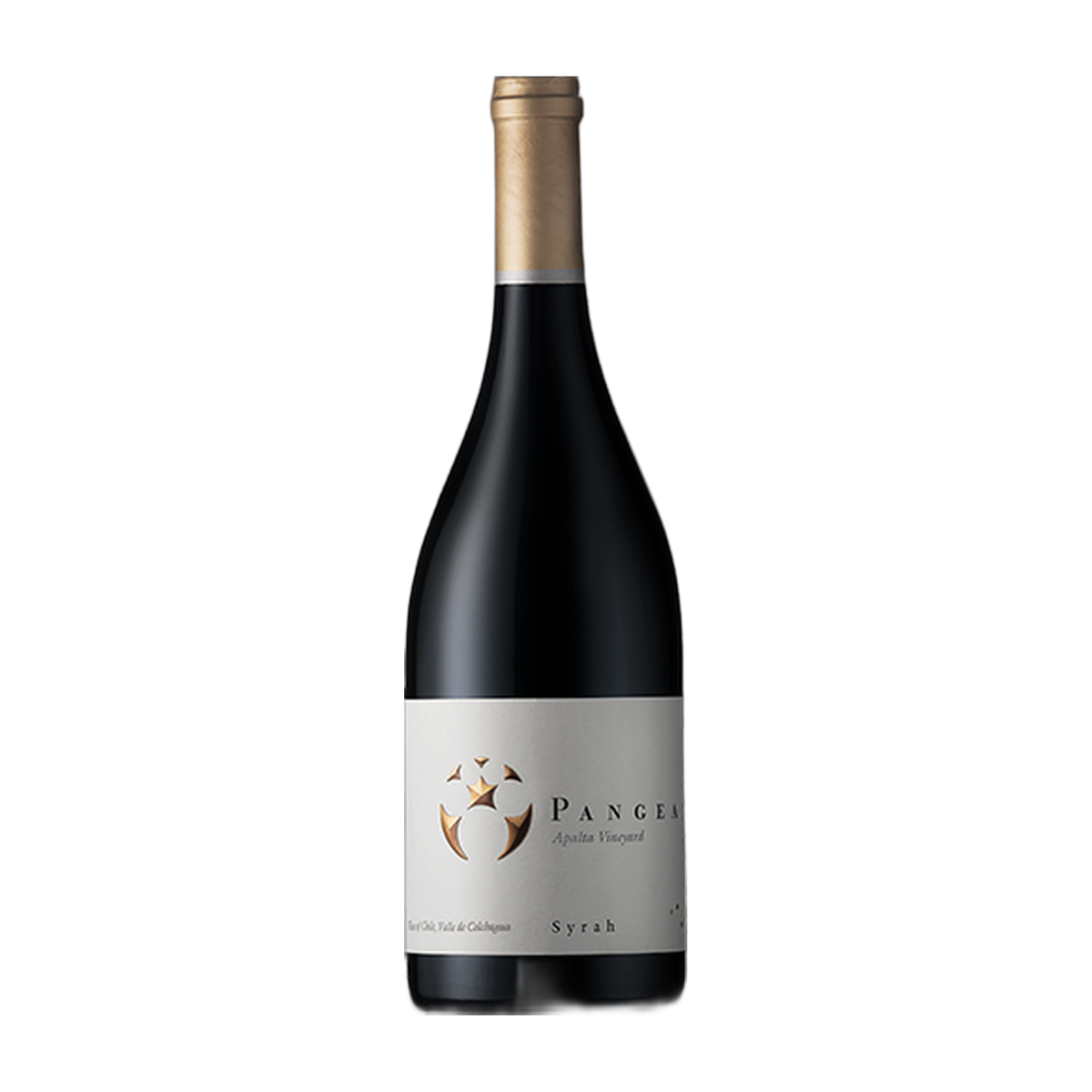 Viña Ventisquero Pangea Syrah - DiVino.com.au