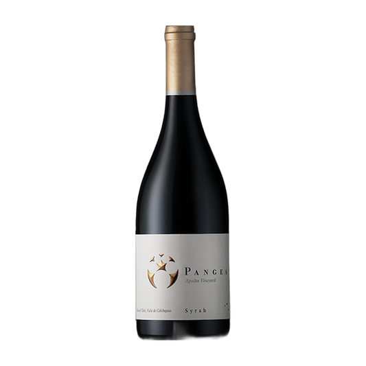 Viña Ventisquero Pangea Syrah - DiVino.com.au