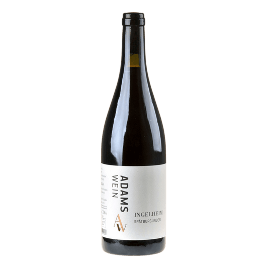 Weingut Adams Ingelheim Spätburgunder - DiVino.com.au